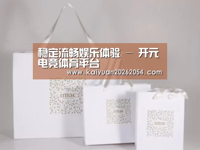 项目名称十一