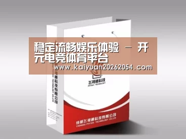 项目名称十三