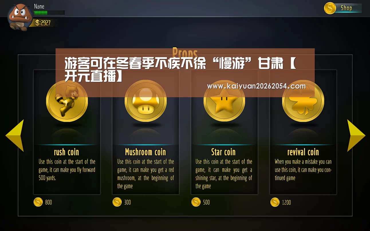 游客可在冬春季不疾不徐“慢游”甘肃【开元直播】(图3) 开元APP