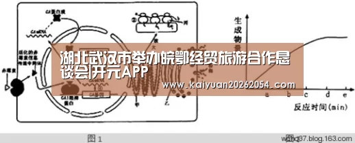 开元官网